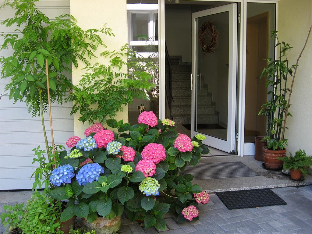 Die Sprachpension - The Language Guesthouse Vogtsburg im Kaiserstuhl Zewnętrze zdjęcie