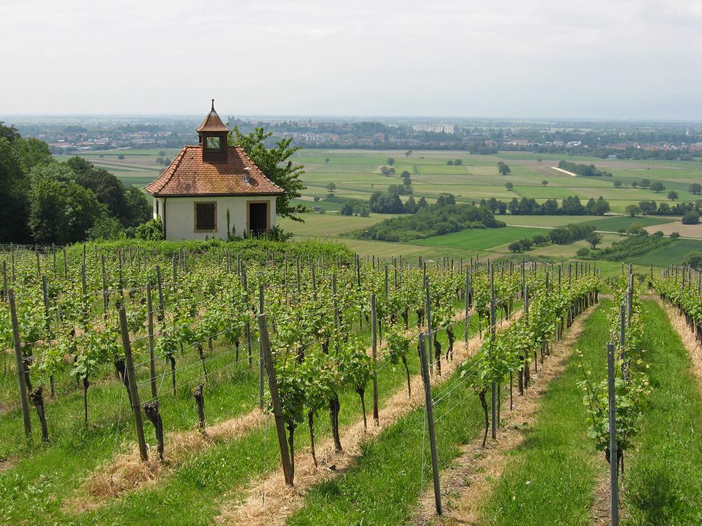 Die Sprachpension - The Language Guesthouse Vogtsburg im Kaiserstuhl Zewnętrze zdjęcie