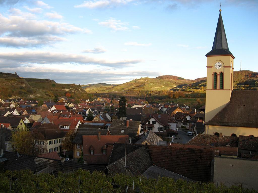 Die Sprachpension - The Language Guesthouse Vogtsburg im Kaiserstuhl Zewnętrze zdjęcie