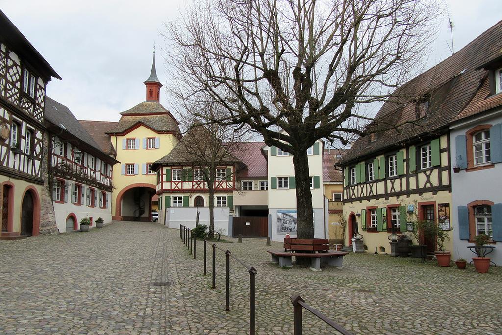 Die Sprachpension - The Language Guesthouse Vogtsburg im Kaiserstuhl Zewnętrze zdjęcie