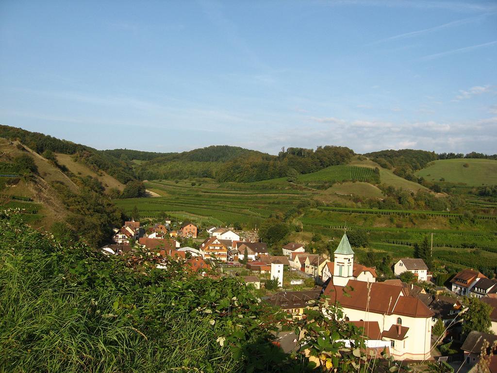 Die Sprachpension - The Language Guesthouse Vogtsburg im Kaiserstuhl Zewnętrze zdjęcie