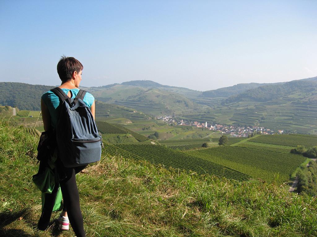 Die Sprachpension - The Language Guesthouse Vogtsburg im Kaiserstuhl Zewnętrze zdjęcie